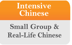 intensive chinese